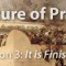 The Future of Preterism (Online Bible Study)
